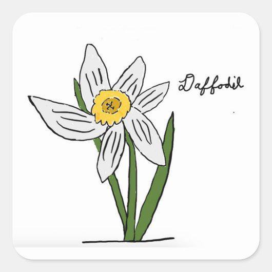 Daffodil Sticker Square (Vorderseite)