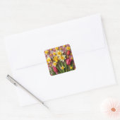 Daffodil Stickers (Umschlag)