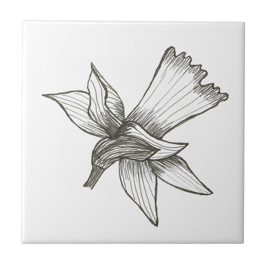 Daffodil Tile Fliese (Vorderseite)