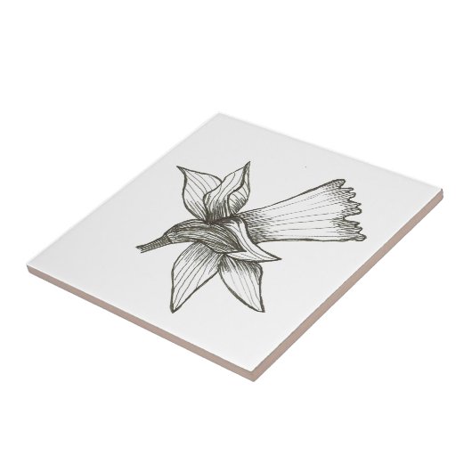 Daffodil Tile Fliese (Seite)