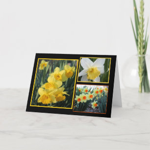 Daffodil Trio Karte