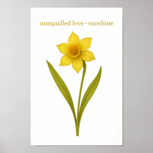 Daffodil — Ungeachtete Liebe, Sonnenschein Poster (Vorne)