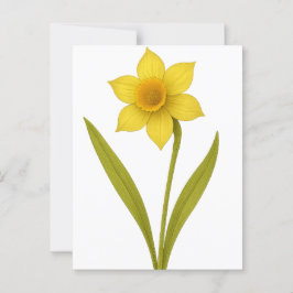 Daffodil — Ungeachtete Liebe, Sonnenschein Postkarte