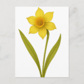Daffodil — Ungeachtete Liebe, Sonnenschein Postkarte (Vorderseite)