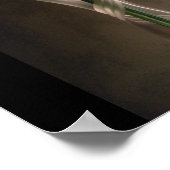 Daffodil Vase Poster (Ecke)