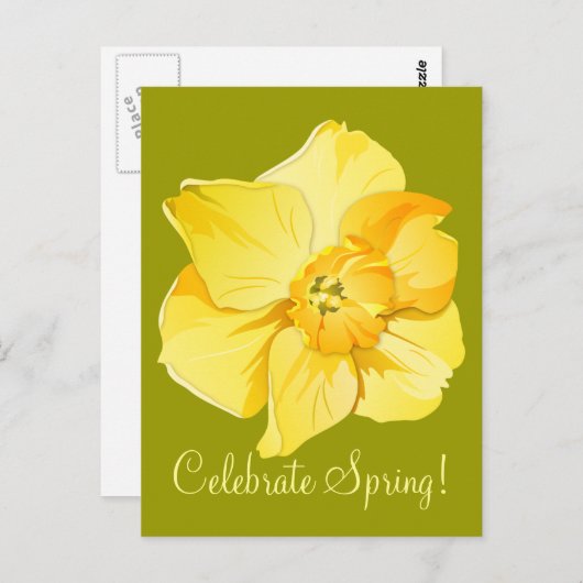 Daffodil Yellow Kurz Trumpet Spring Blume Postkarte (Vorne/Hinten)