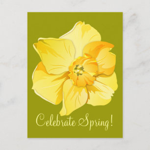 Daffodil Yellow Kurz Trumpet Spring Blume Postkarte