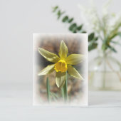 Daffodill Postcard Postkarte (Stehend Vorderseite)