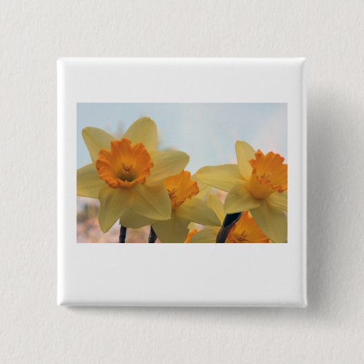 Daffodills Button (Vorderseite)
