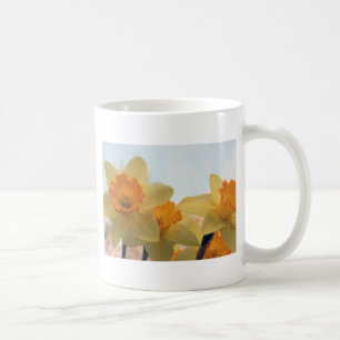 Daffodills Kaffeetasse