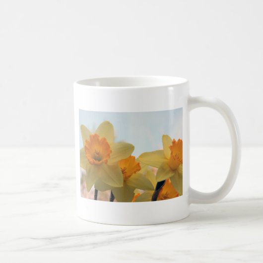 Daffodills Kaffeetasse (Rechts)