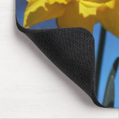 Daffodills Mousepad (Ecke)