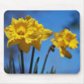 Daffodills Mousepad (Vorne)