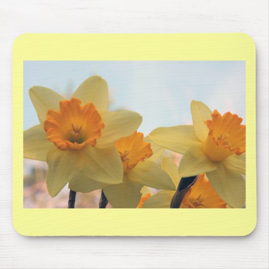 Daffodills Mousepad (Vorne)