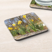 Daffodils at Easter Hard Plastic Coasters Getränkeuntersetzer (Linke Seite)