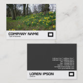 Daffodils Bute Park, Cardiff Visitenkarte (Vorne/Hinten)