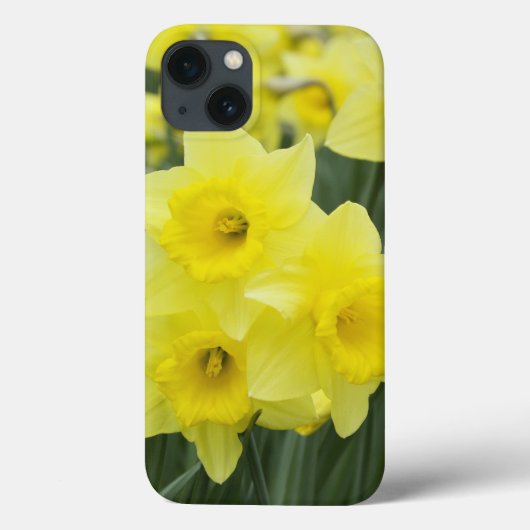 Daffodils Case-Mate iPhone Hülle (Rückseite)