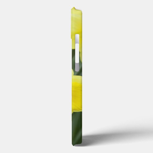 Daffodils Case-Mate iPhone Hülle (Rückseite / Links)