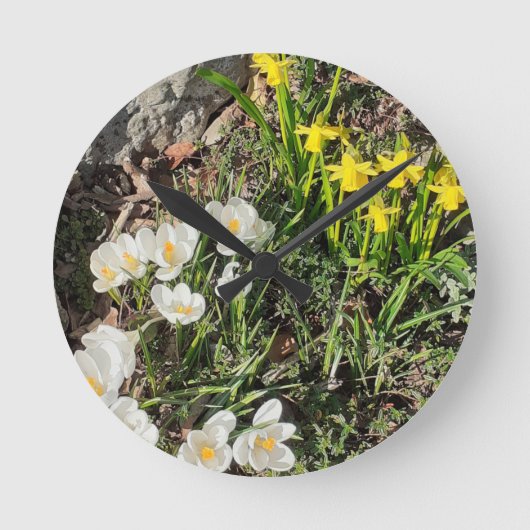 Daffodils & Crocus Clock Runde Wanduhr (Vorderseite)