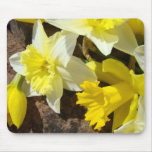 DAFFODILS Daffodische Blume MOUSEPAD MAUSPAD