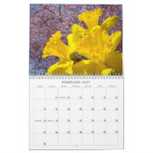 Daffodils & Dahlias Calendars Kalender (Feb 2027)