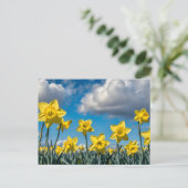 Daffodils Dancing Postkarte (Stehend Vorderseite)