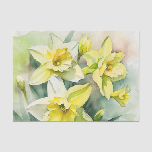 DAFFODILS Dekorationspapier Seidenpapier (Vorderseite)