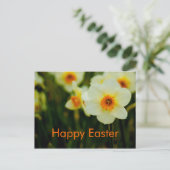 Daffodils  • Easter Postcard Feiertagspostkarte (Stehend Vorderseite)