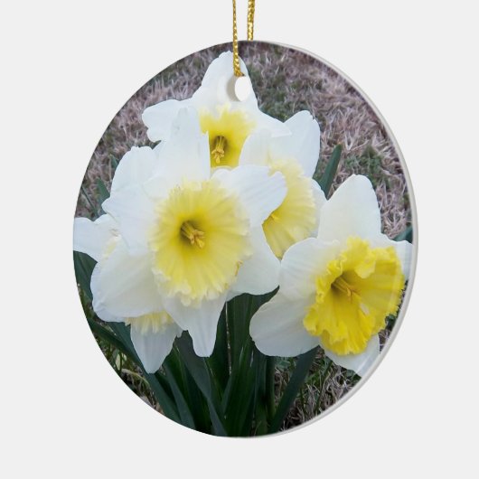 Daffodils-Gedächtnisdekoration Keramikornament (Links)