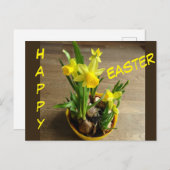 Daffodils Happy Osterkust. Textpostkarte Postkarte (Vorne/Hinten)