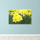 Daffodils Leinwanddruck (Insitu (Holzboden))