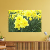 Daffodils Leinwanddruck (Insitu (Wohnzimmer))