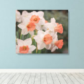 Daffodils Peach Leinwanddruck (Insitu (Holzboden))