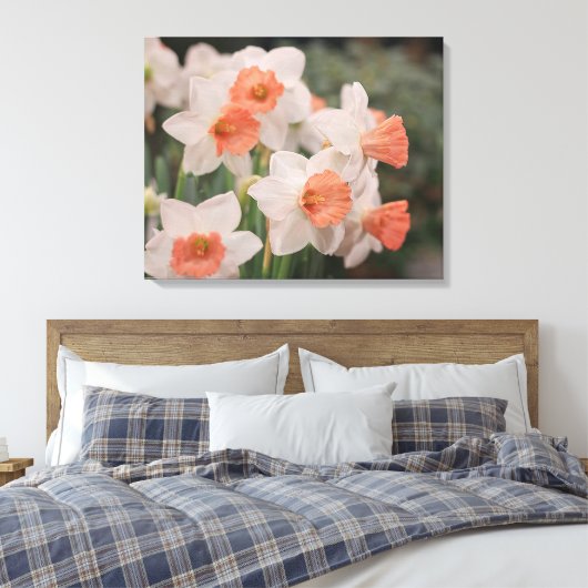 Daffodils Peach Leinwanddruck (Insitu (Schlafzimmer))
