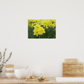 Daffodils Poster (Küche)