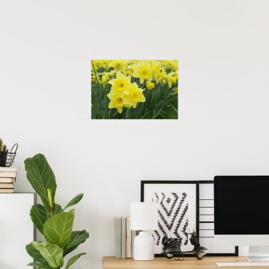 Daffodils Poster (Heimbüro)