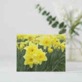 Daffodils Postkarte (Stehend Vorderseite)