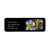 Daffodils Return Address Labels (Vorne)