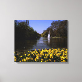 Daffodils St James's Park London Leinwanddruck