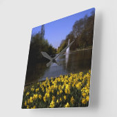 Daffodils St James's Park London Quadratische Wanduhr (Winkel)