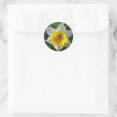 Daffodils Symbolize Erneuerung - Aufkleber (Tasche)