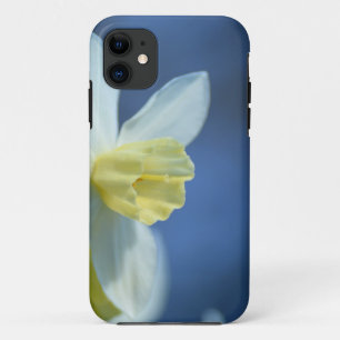 Daffodin im Frühjahr Case-Mate iPhone Hülle