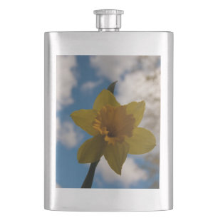 Daffodin im Frühjahr Flachmann