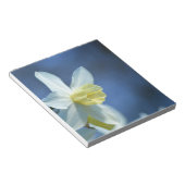 Daffodin im Frühjahr Notizblock (angewinkelt)