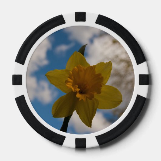 Daffodin im Frühjahr Pokerchips (Vorderseite)