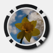 Daffodin im Frühjahr Pokerchips (Rückseite)