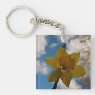 Daffodin im Frühjahr Schlüsselanhänger
