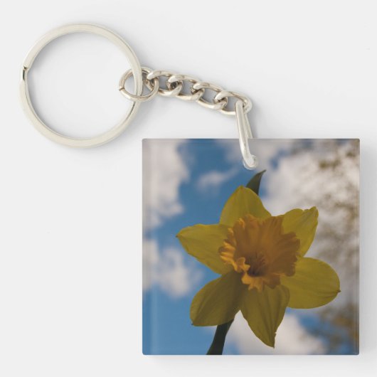 Daffodin im Frühjahr Schlüsselanhänger (Vorderseite)