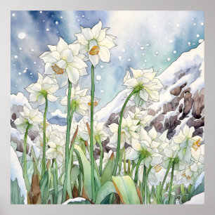 Daffodin unter der Schneemauer Kunst, Blumenplatz Poster