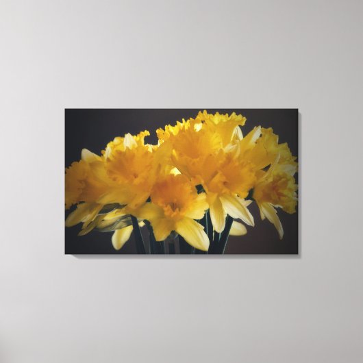 Daffodis Blume Leinwand Fotografie (Vorderseite)